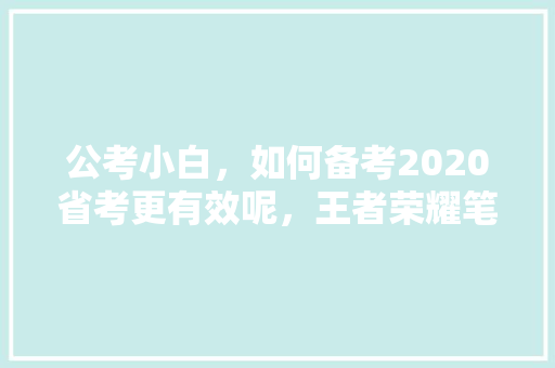 公考小白，如何备考2020省考更有效呢，王者荣耀笔试题 大学排名