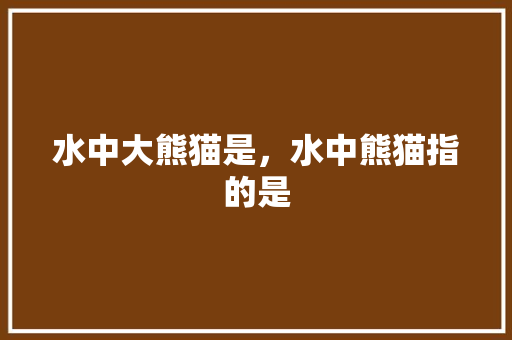 水中大熊猫是，水中熊猫指的是 大学排名