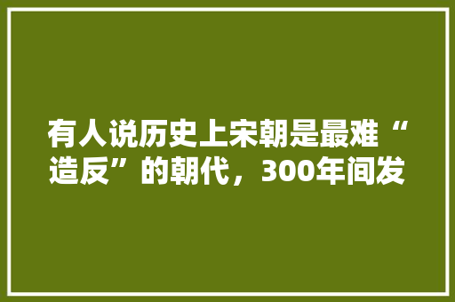 有人说历史上宋朝是最难“造反”的朝代，300年间发生439次起义，为什么都没成功呢，北宋公考行测答案