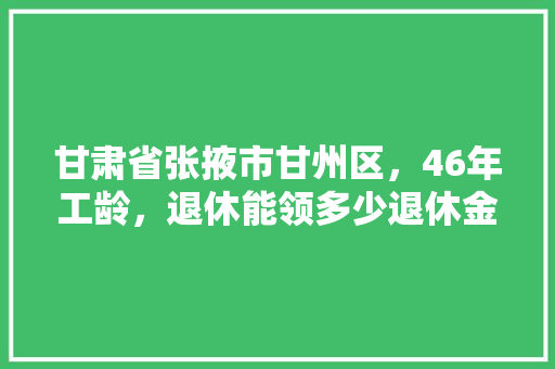甘肃省张掖市甘州区，46年工龄，退休能领多少退休金，公务员考试题46题 专业填报