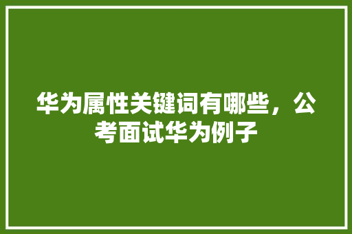华为属性关键词有哪些，公考面试华为例子 大学排名