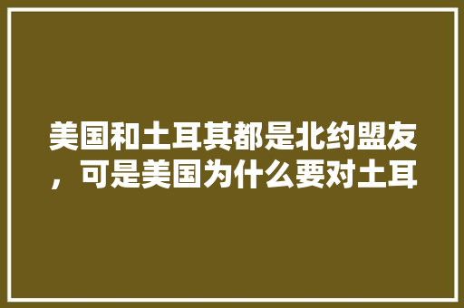 美国和土耳其都是北约盟友，可是美国为什么要对土耳其进行经济制裁呢，古巴公务员考试题及答案 大学排名