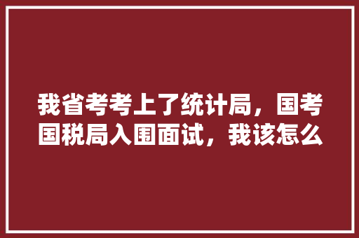 我省考考上了统计局，国考国税局入围面试，我该怎么选择，乡镇公务员执法考试题库