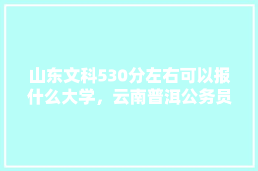 山东文科530分左右可以报什么大学，云南普洱公务员考试题型分布 教育科普