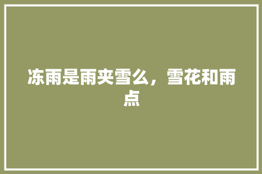 冻雨是雨夹雪么，雪花和雨点 专业填报
