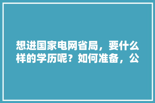 想进国家电网省局，要什么样的学历呢？如何准备，公务员考试题156611 大学排名