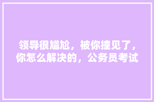 领导很尴尬，被你撞见了，你怎么解决的，公务员考试题出错了怎么办 建筑考试