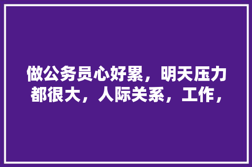 做公务员心好累，明天压力都很大，人际关系，工作，这样下去我身体撑不住，人也老的快啊，怎么办？我还没，我想看公务员考试题 教育科普