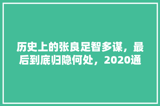 历史上的张良足智多谋，最后到底归隐何处，2020通城考公务员 大学排名