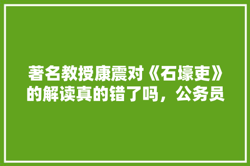著名教授康震对《石壕吏》的解读真的错了吗，公务员诗词考试 大学排名
