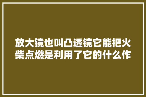 放大镜也叫凸透镜它能把火柴点燃是利用了它的什么作用，火柴题目答案 建筑考试