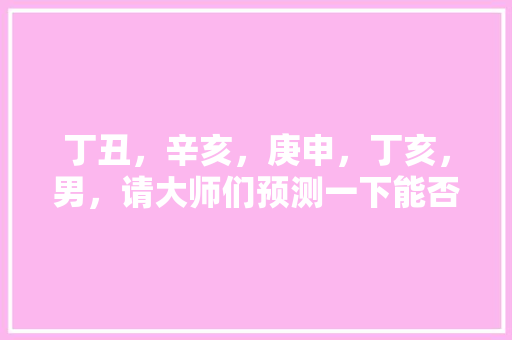 丁丑，辛亥，庚申，丁亥，男，请大师们预测一下能否考公务员运程，公务员考试题材预测分析