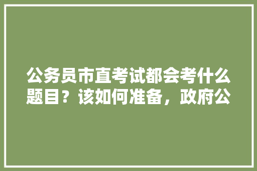 公务员市直考试都会考什么题目？该如何准备，政府公务员考试题目及答案 大学排名