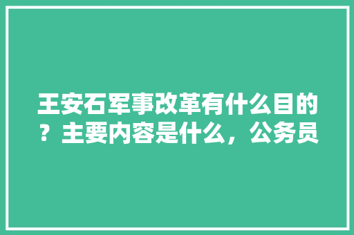 王安石军事改革有什么目的？主要内容是什么，公务员军事武器考试题型有哪些 专业填报