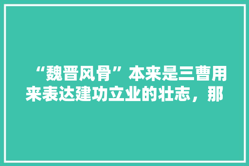 “魏晋风骨”本来是三曹用来表达建功立业的壮志，那后来怎么又成为崇尚自然，洒脱的名士的代名词，魏晋时期的考试制度