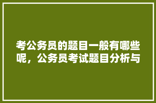 考公务员的题目一般有哪些呢，公务员考试题目分析与反思 大学排名