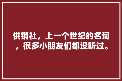 供销社，上一个世纪的名词，很多小朋友们都没听过。你怎么看，公务员考试题火柴无解 大学排名