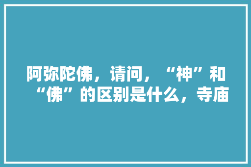 阿弥陀佛，请问，“神”和“佛”的区别是什么，寺庙公务员考试题及答案