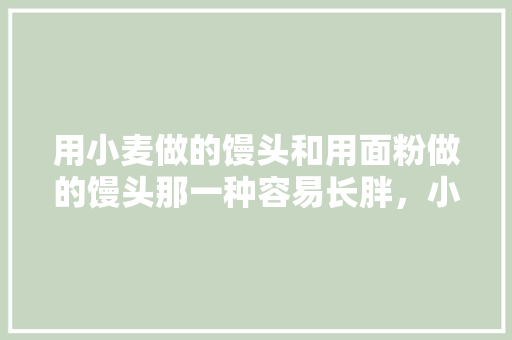 用小麦做的馒头和用面粉做的馒头那一种容易长胖，小麦公考面试怎么样
