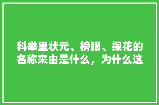 科举里状元、榜眼、探花的名称来由是什么，为什么这么叫，孟郊公务员考试题及答案