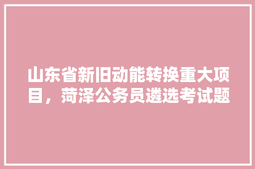 山东省新旧动能转换重大项目，菏泽公务员遴选考试题及答案 公考知识
