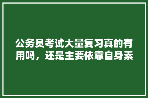 公务员考试大量复习真的有用吗，还是主要依靠自身素质，公务员考试看图题及答案 大学排名