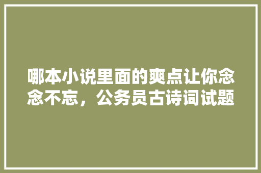 哪本小说里面的爽点让你念念不忘，公务员古诗词试题 教育科普