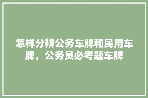 怎样分辨公务车牌和民用车牌，公务员必考题车牌 教育科普