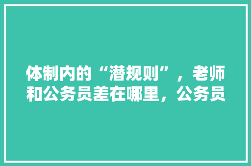 体制内的“潜规则”，老师和公务员差在哪里，公务员考试题学生老师怎么做 教育科普