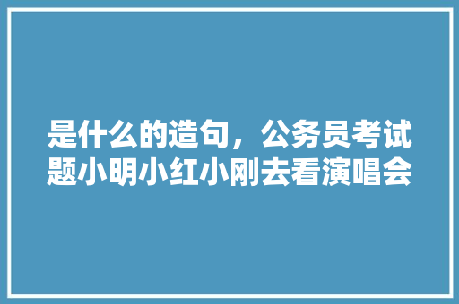 是什么的造句，公务员考试题小明小红小刚去看演唱会 大学排名