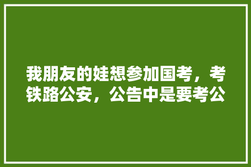 我朋友的娃想参加国考，考铁路公安，公告中是要考公安知识，怎么复习啊，铁路公安公务员考试题目及答案 大学排名