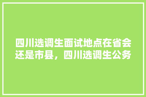 四川选调生面试地点在省会还是市县，四川选调生公务员考试题库及答案 大学排名