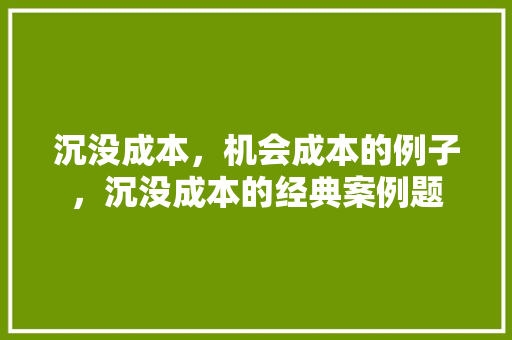 沉没成本，机会成本的例子，沉没成本的经典案例题 大学排名