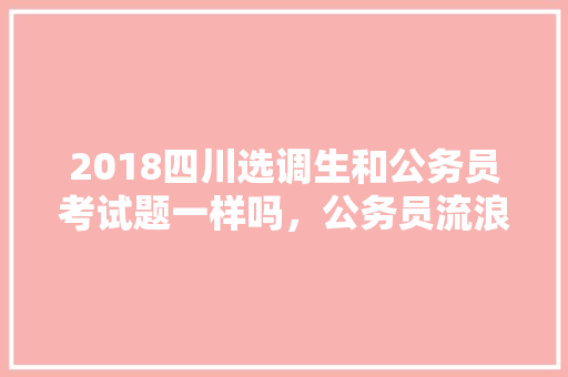 2018四川选调生和公务员考试题一样吗，公务员流浪记考试题及答案 教育科普