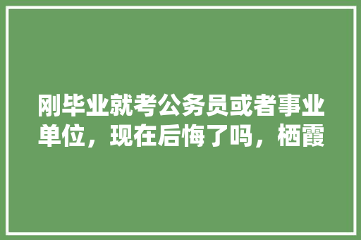 刚毕业就考公务员或者事业单位，现在后悔了吗，栖霞公务员考试题及答案 专业填报