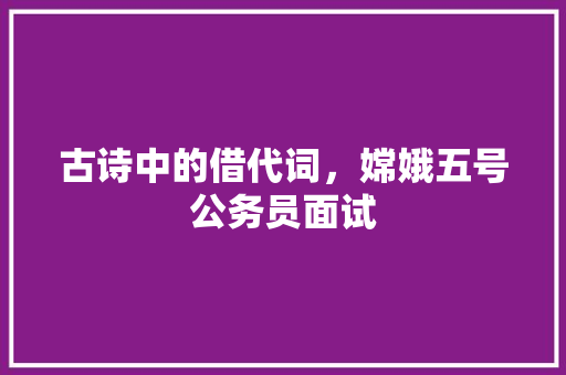 古诗中的借代词，嫦娥五号公务员面试 教育科普