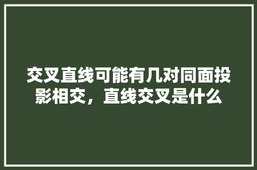 交叉直线可能有几对同面投影相交，直线交叉是什么 公考知识