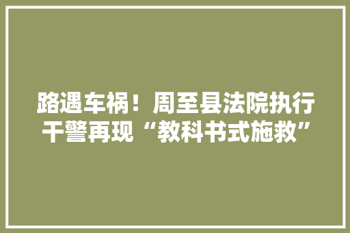 路遇车祸！周至县法院执行干警再现“教科书式施救”, 你怎么看，周至县公务员考试题库及答案 建筑考试