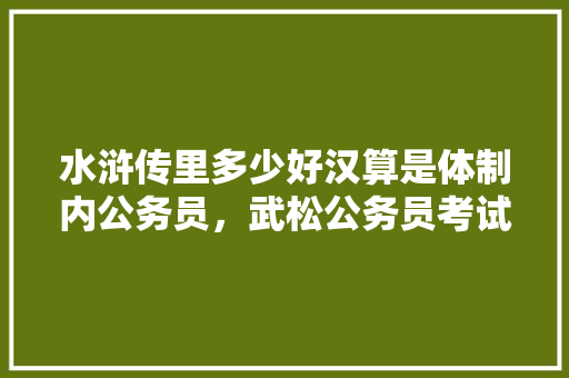 水浒传里多少好汉算是体制内公务员，武松公务员考试题及答案