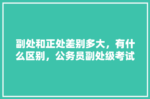 副处和正处差别多大，有什么区别，公务员副处级考试 教育科普