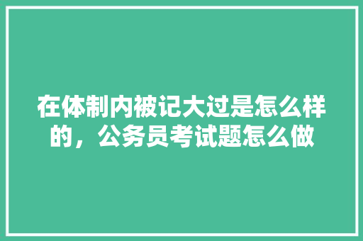 在体制内被记大过是怎么样的，公务员考试题怎么做 大学排名