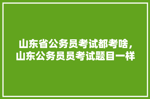 山东省公务员考试都考啥，山东公务员员考试题目一样吗 大学排名