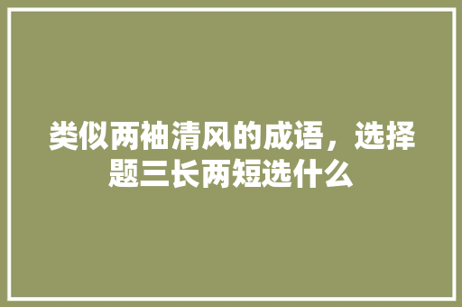 类似两袖清风的成语，选择题三长两短选什么