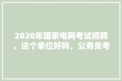 2020年国家电网考试招聘，这个单位好吗，公务员考试题弱智吗怎么答题