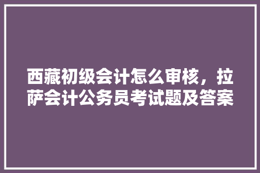 西藏初级会计怎么审核，拉萨会计公务员考试题及答案