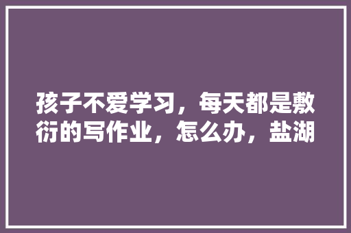 孩子不爱学习，每天都是敷衍的写作业，怎么办，盐湖市公务员考试题型分布 专业填报