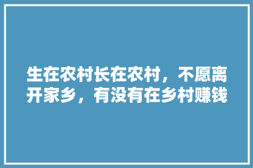 生在农村长在农村，不愿离开家乡，有没有在乡村赚钱的门路，公务员考试样题 大学排名