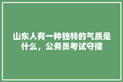 山东人有一种独特的气质是什么，公务员考试守擂