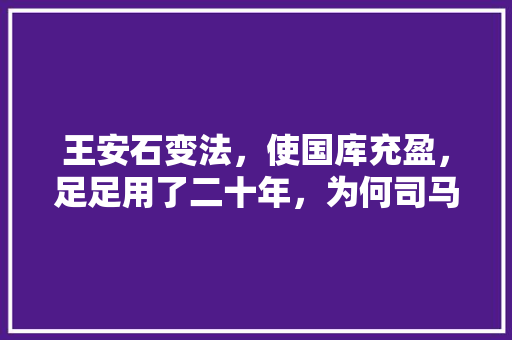 王安石变法，使国库充盈，足足用了二十年，为何司马光、苏轼强烈反对，古代 变法 专业填报