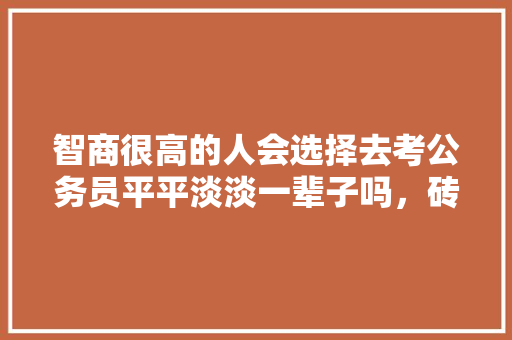 智商很高的人会选择去考公务员平平淡淡一辈子吗，砖题库公务员